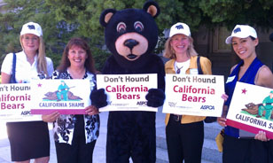 Heather Rally and HSVMA staff at 2012 California Humane Lobby Day