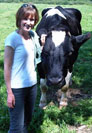 Dr. Teachout with a cow