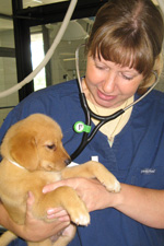 Dr. Barbara Griffin holding a puppy