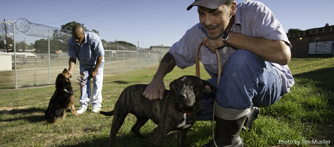 Dixon Correctional Institute inmates play with dogs in their care on the grounds of the medium security prison in Jackson, La. The inmates are part of a partnership with HSUS to help run the Pen Pal Inc. Dog & Cat Shelter and Adoption Center located at the prison.