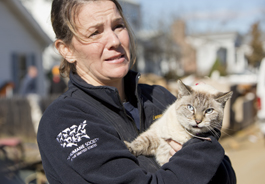 A Member of The HSUS' Animal Rescue Team holds a cat who was rescued in Union Beach, NJ after Hurricane Sandy