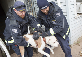 Members of The HSUS' Animal Rescue Team recover a dog who was left behind during Hurricane Sandy
