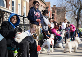 People lined up for the Pets for Life event in Chicago