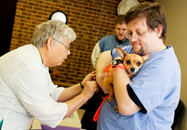 Dog is vaccinated at a 2012 World Spay Day event in North Carolina.