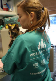 Tech holding cat during a World Spay Day 2012 event