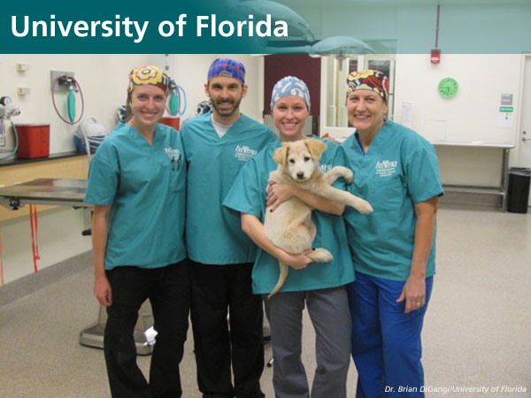University of Florida World Spay Day 2016 group