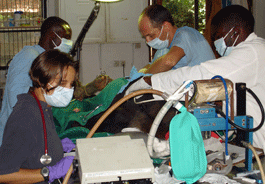 Dr. Reyes-Illig monitoring anesthesia
