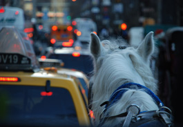 horse_carriage_nyc_traffic_265x184.jpg