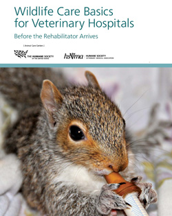 HSVMA Wildlife Care Basics handbook
