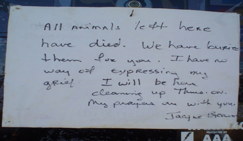 Sign on veterinary clinic post-Katrina