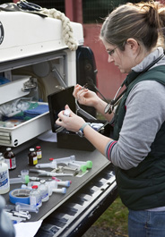 A veterinarian prepares an injection at a mobile equine clinic